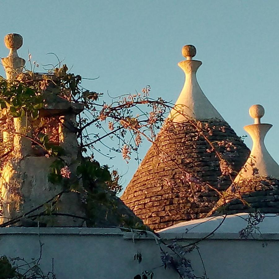 Trulli Di Ivana 奥斯图尼 外观 照片
