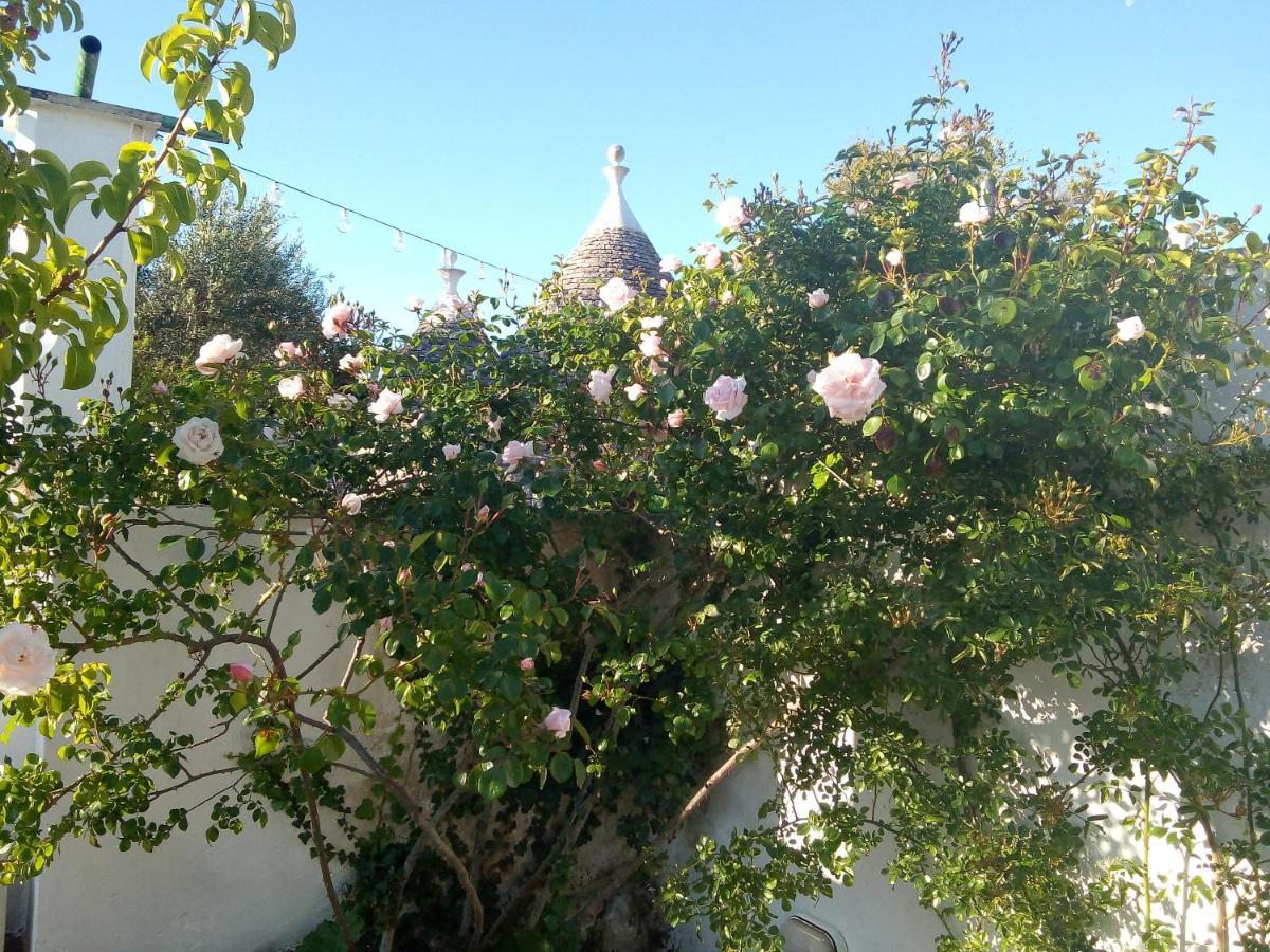 Trulli Di Ivana 奥斯图尼 外观 照片