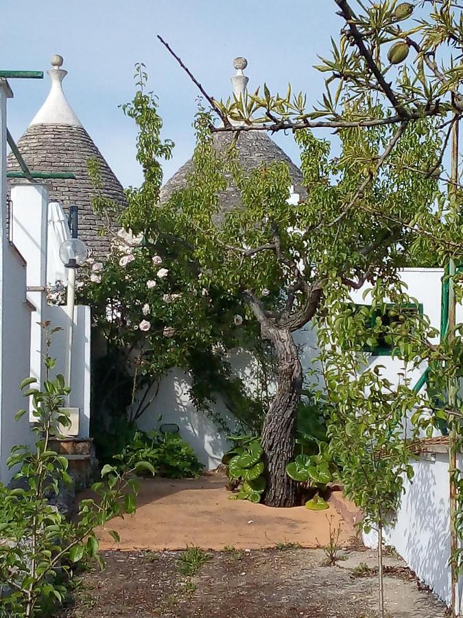 Trulli Di Ivana 奥斯图尼 外观 照片